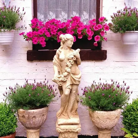 Der Schwan Hotel